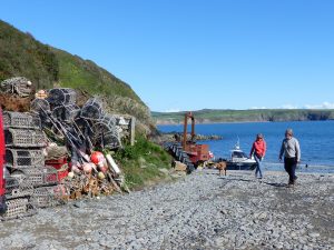 Porth Meudwy