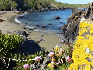 A little hidden gem along our coastal path ! 