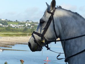 Riding on the Llyn Peninsula