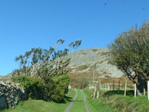 Llyn - Cae Garw - walks