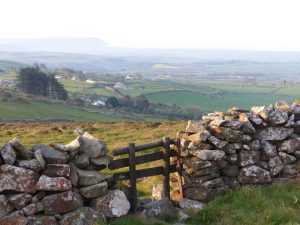 Walking - Llyn holidays