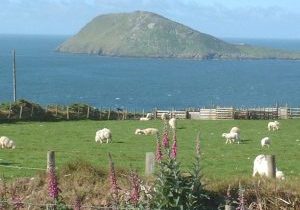 Bardsey Island - Enlli