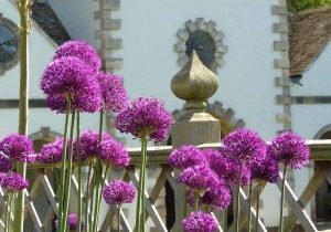 Bodnant Gardens